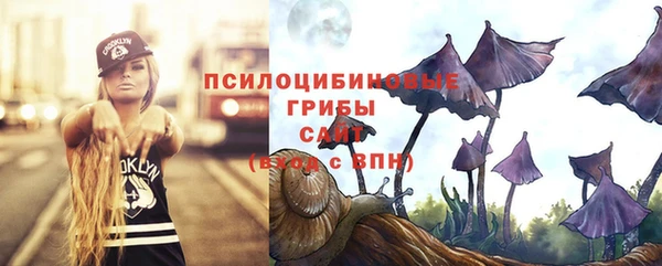 амф Алзамай
